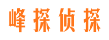 天元市婚姻调查